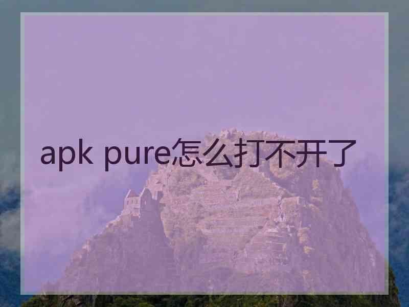 apk pure怎么打不开了