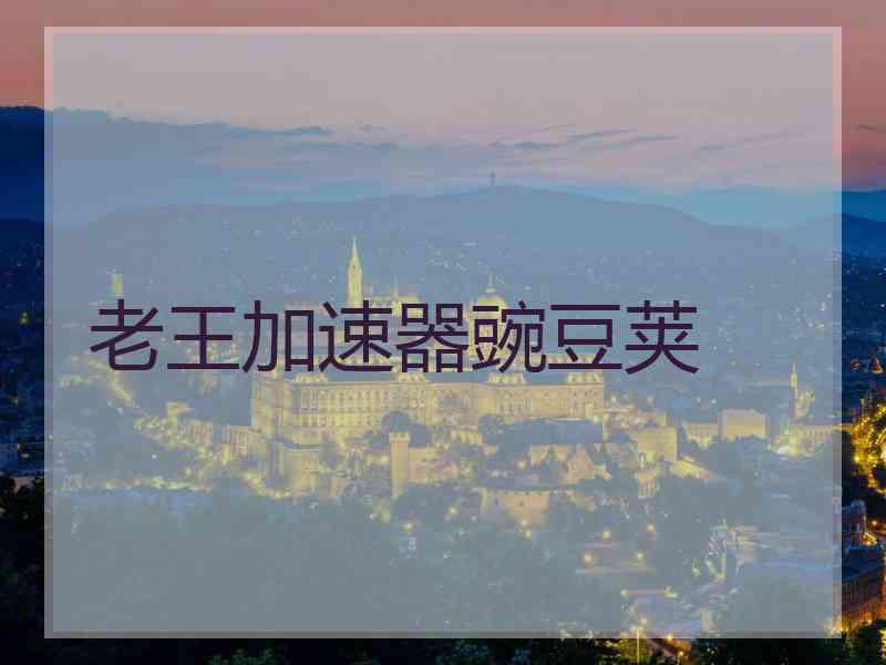 老王加速器豌豆荚