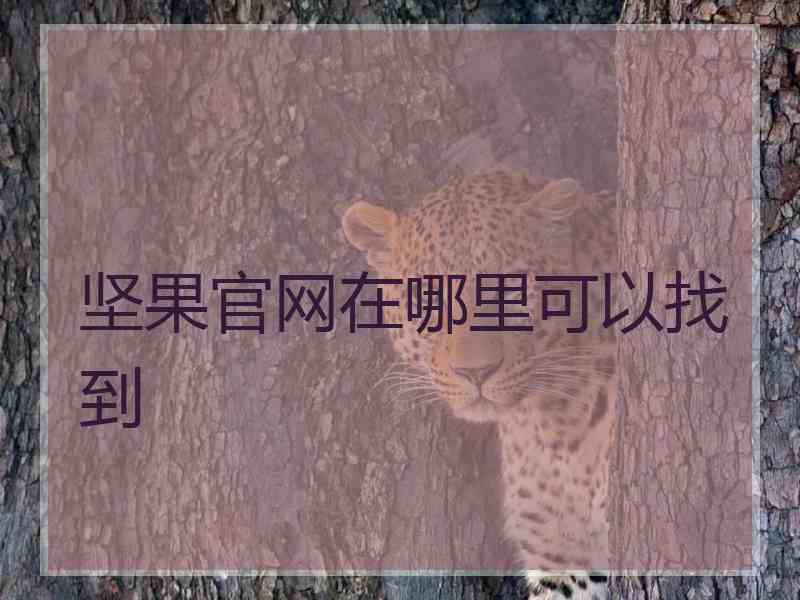 坚果官网在哪里可以找到
